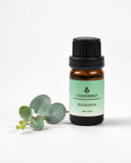 Geurkaarsen olie - Eucalyptus